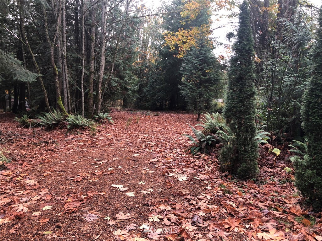881 Palmer Road Bellingham, WA 98229 - Photo 23 of 25 Gallery Image 23