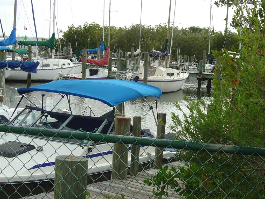 603 Baldwin Avenue, Unit B Safety Harbor, FL 34695 - Photo 30 of 32 a view of yard with patio