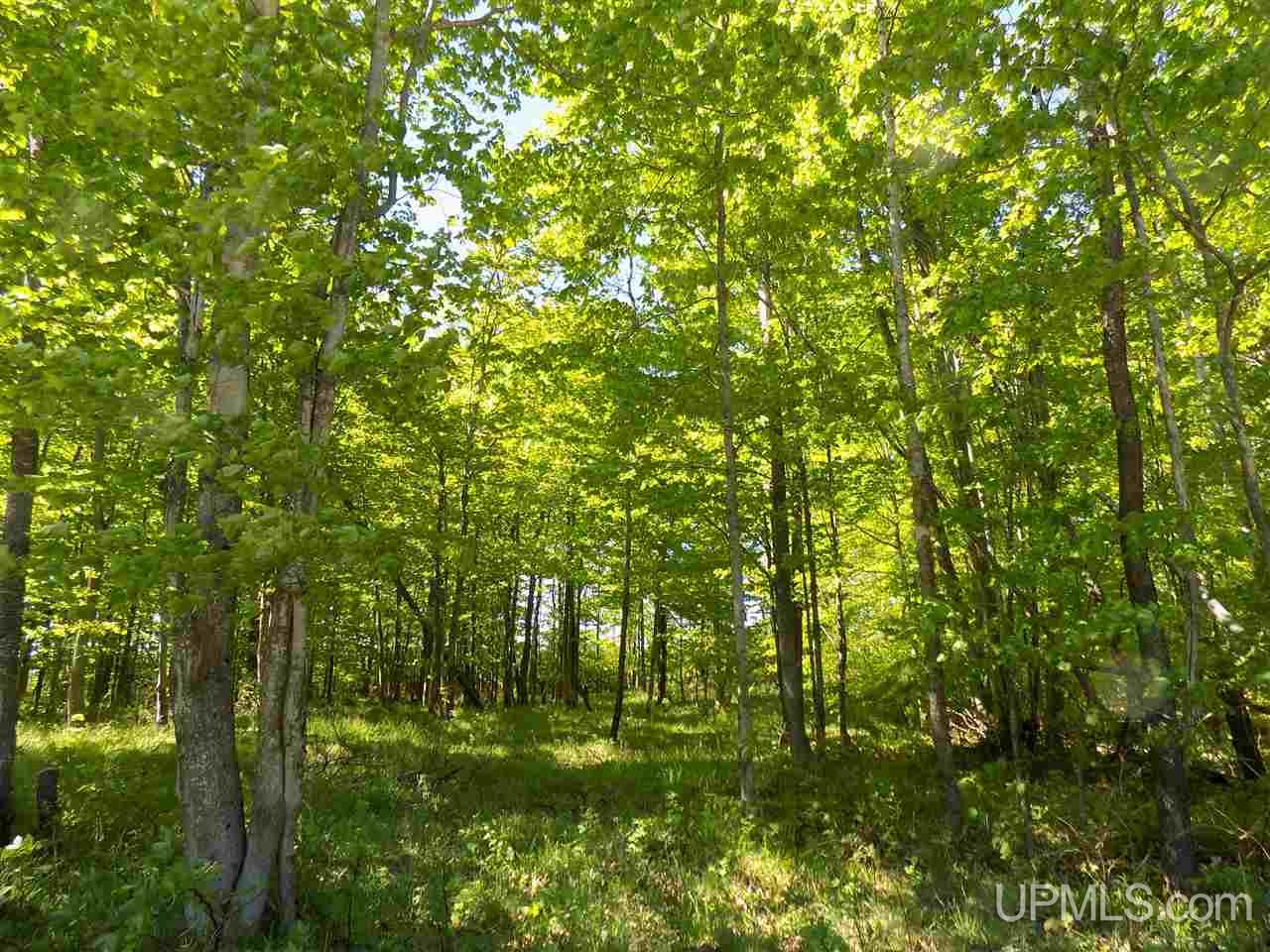 Tbd Northshore Bluffs Road, Unit 4 Manistique, MI 49854 - Photo 20 of 21
