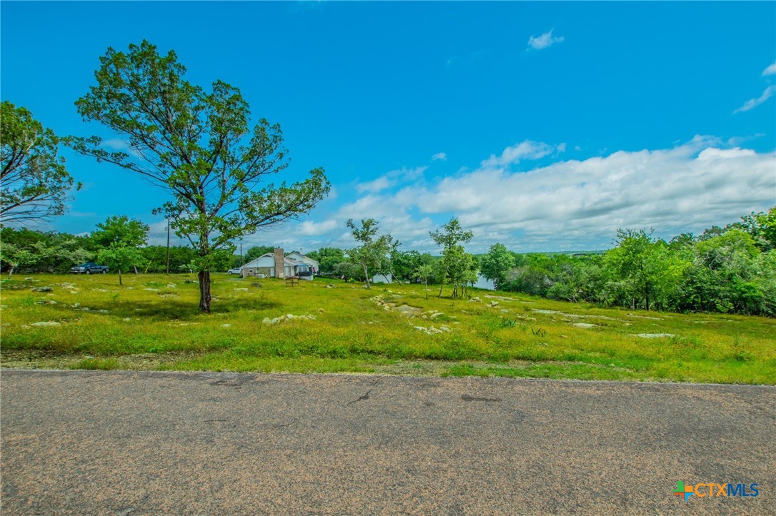 2249 Prickley Pear Road Belton, TX 76513 - Photo 12 of 16