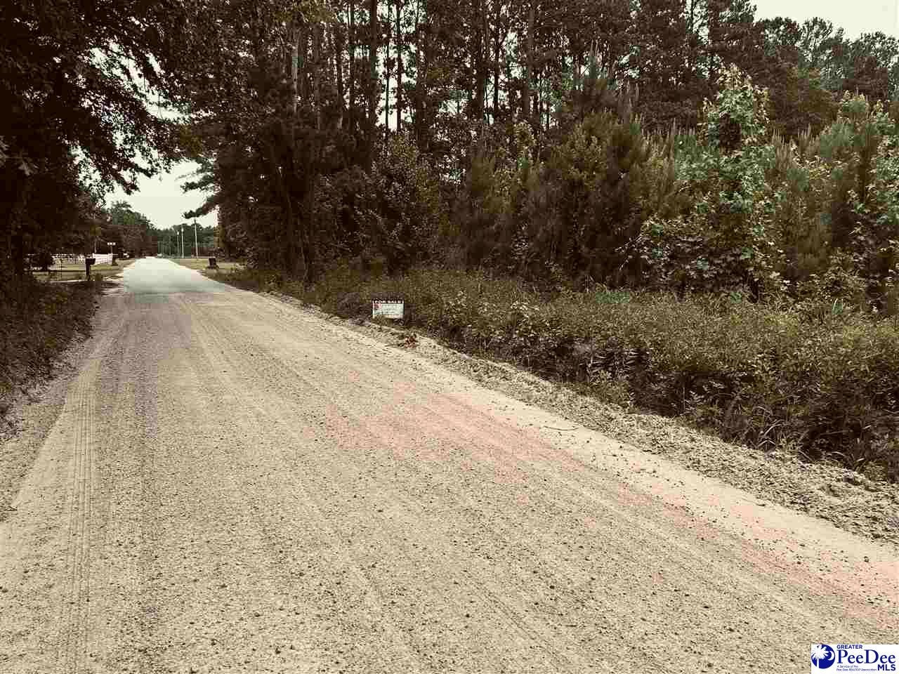 Oliver Road Timmonsville, SC 29161 - Photo 1 of 1 Gallery Image 1