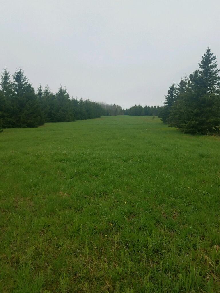 43-acres South Ridge Road Sault Ste. Marie, MI 49783 - Photo 3 of 24 Gallery Image 3