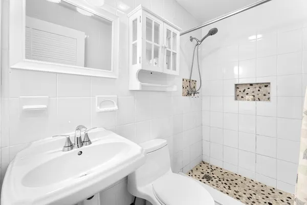 a view of a palm trees