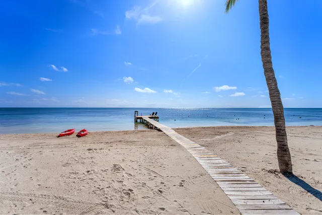 a view of a house with a yard and a palm tree