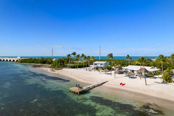 a view of a terrace with a potted plant