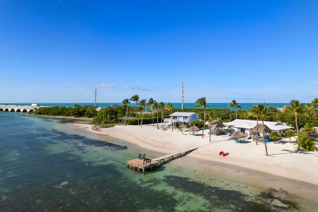 a view of a terrace with a potted plant