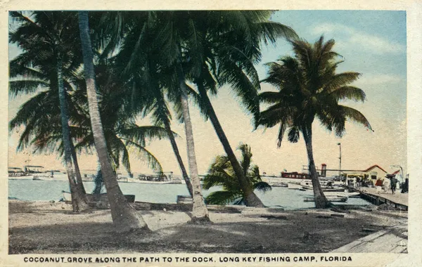 $3,899,000 | 65620 Overseas Highway, Long Key, FL 33001