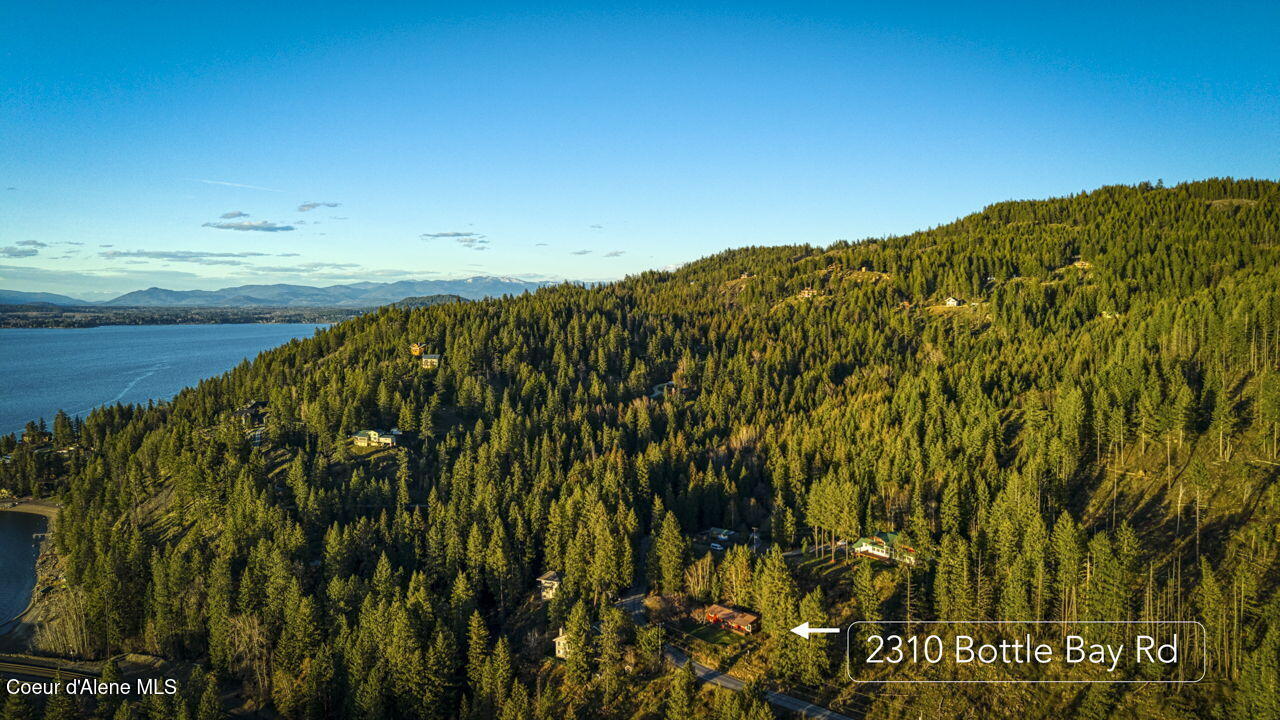 2310 Bottle Bay Road Sagle, ID 83860 - Photo 48 of 49 Aerial