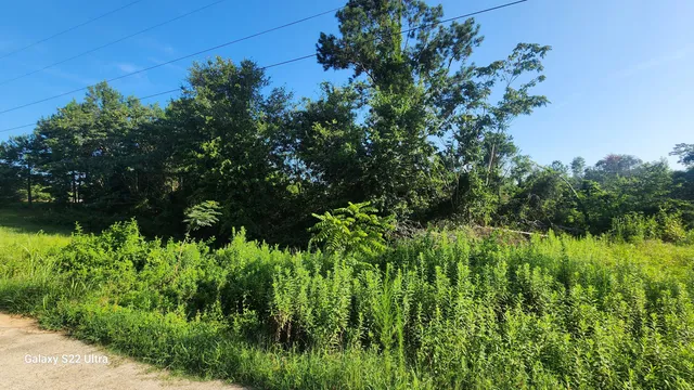 $24,900 | 0 Prairie View Court, Waynesboro, GA 30830