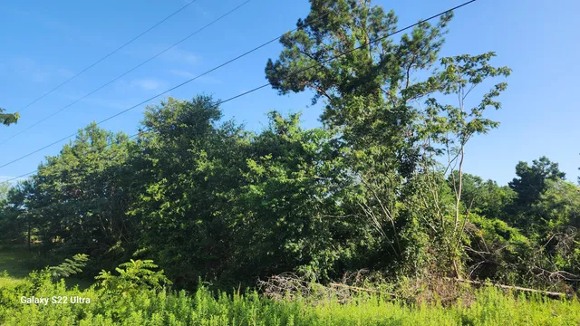 $24,900 | 0 Prairie View Court, Waynesboro, GA 30830