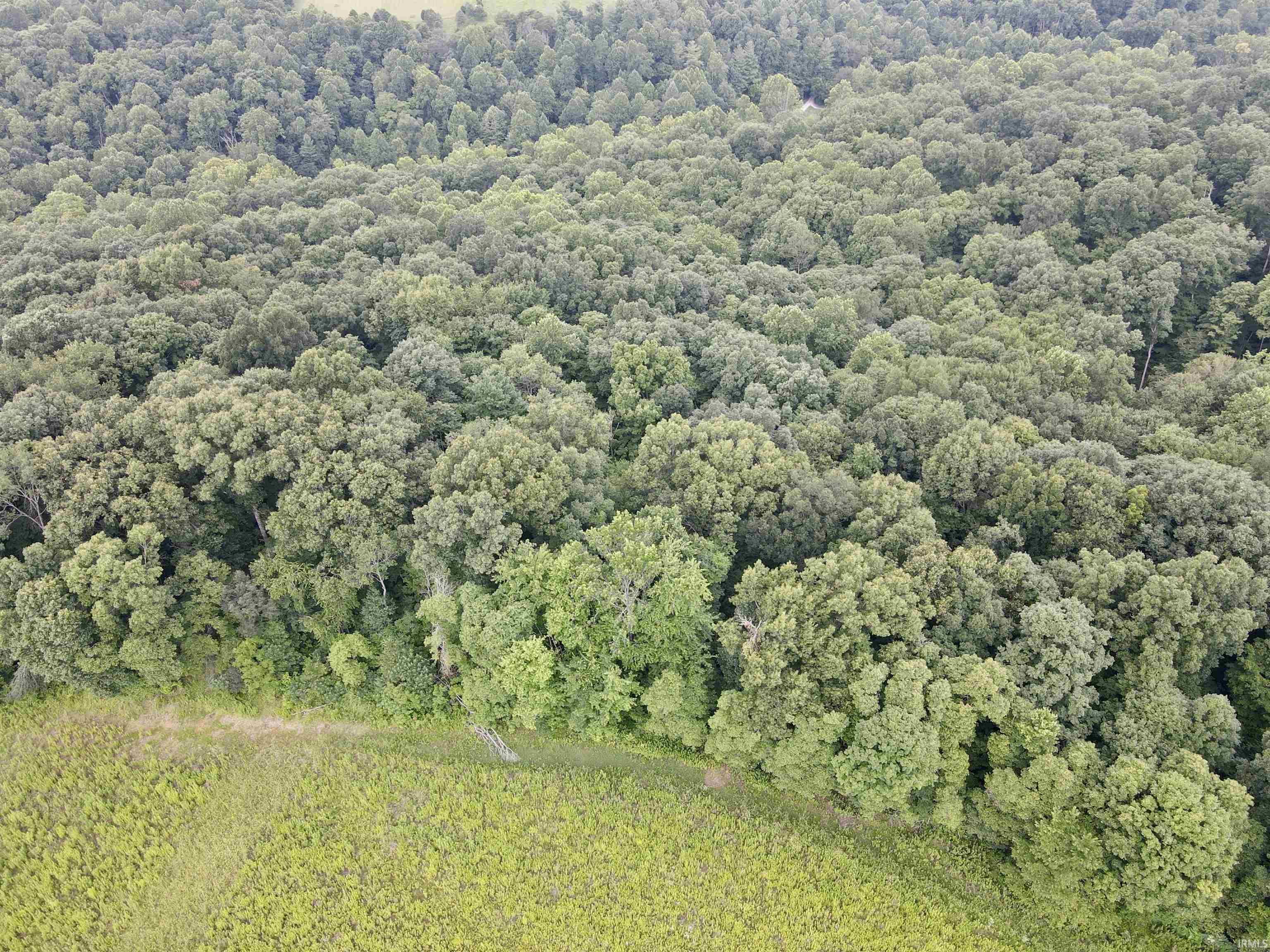 Off Candlestick Road Bristow, IN 47515 - Photo 15 of 30