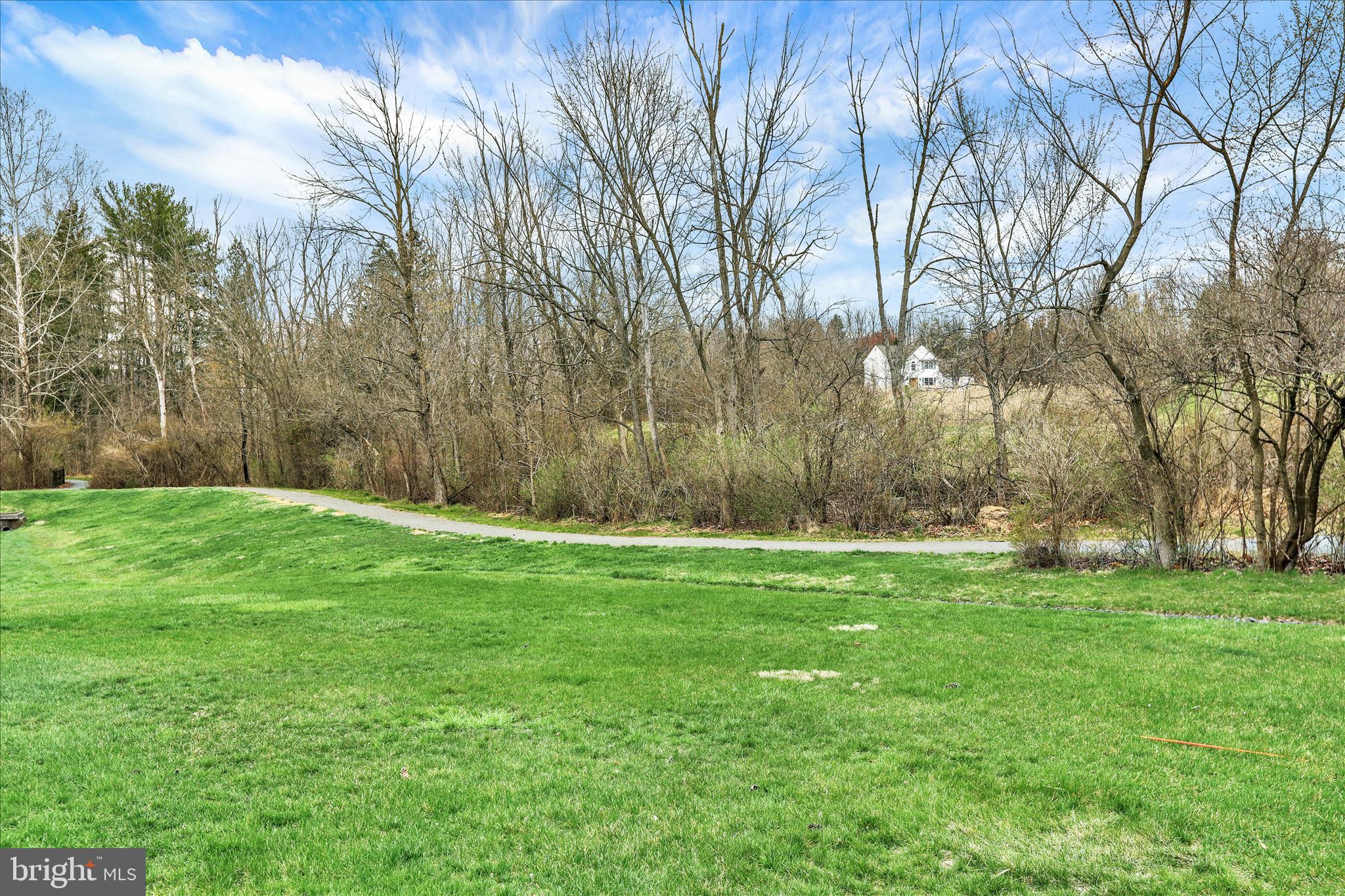 59 Winchester Court Reading, PA 19606 - Photo 32 of 39 a view of a yard with a tree