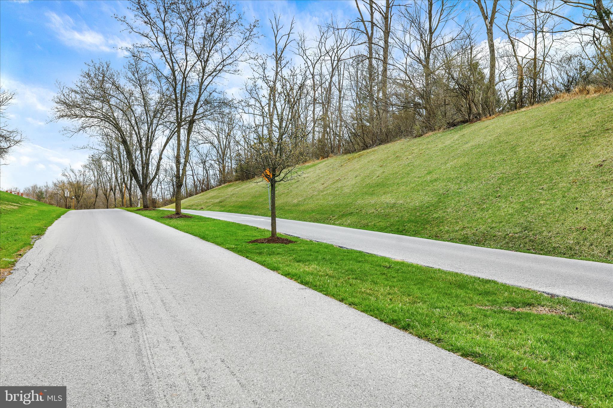 59 Winchester Court Reading, PA 19606 - Photo 33 of 39 a view of a field with a small yard