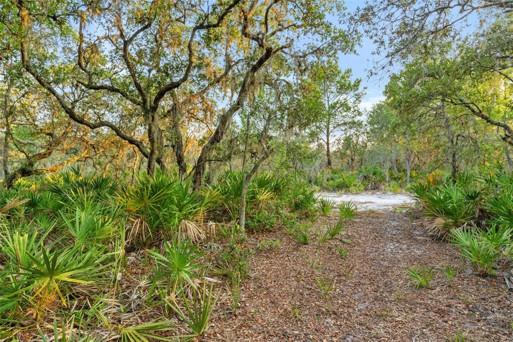 1980 Lake Buffum Road Fort Meade, FL 33841 - Photo 9 of 64 Gallery Image 9