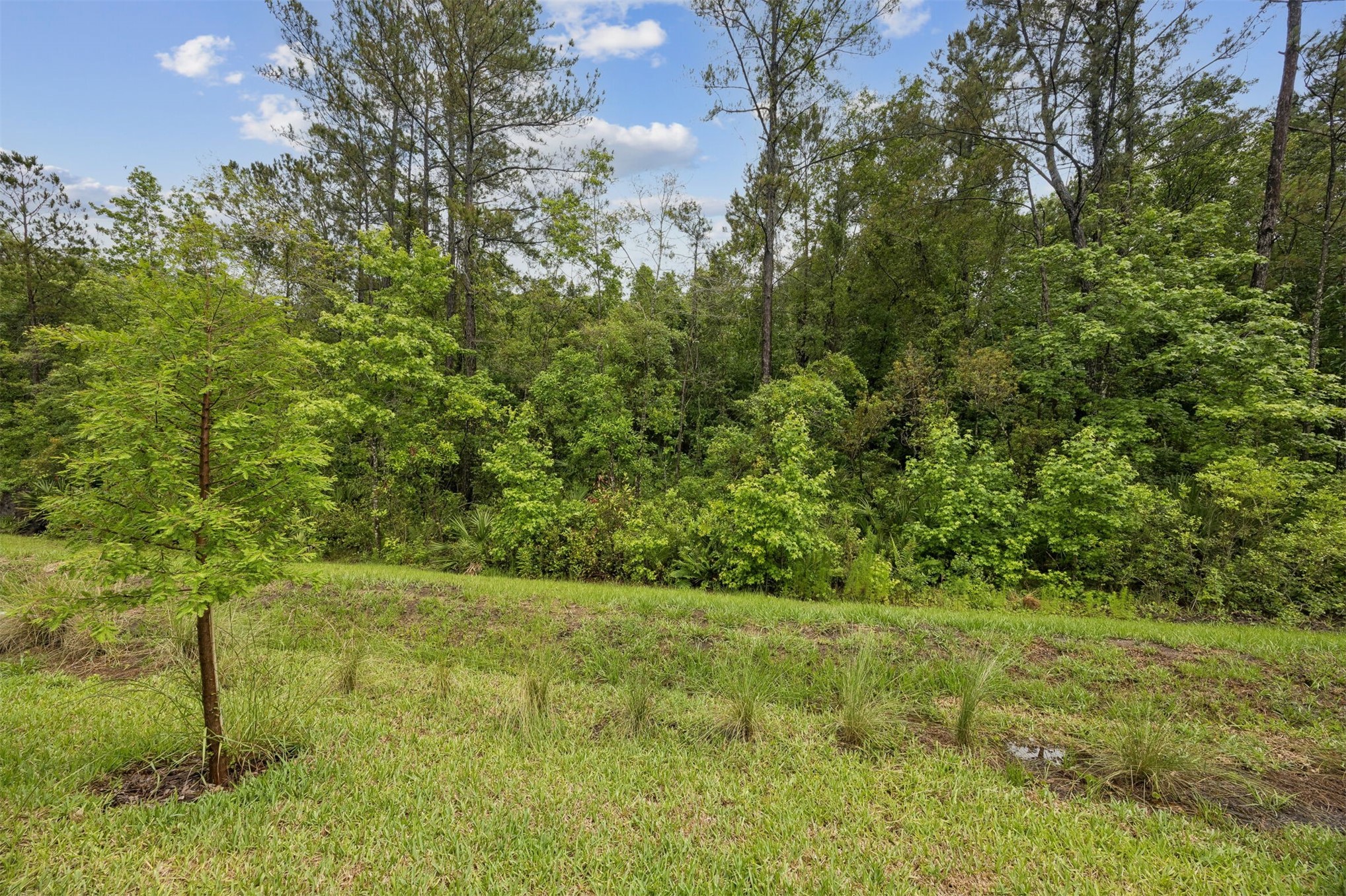 96645 Stillpoint Way Fernandina Beach, FL 32034 - Photo 31 of 33