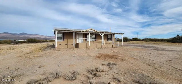 a view of a dry yard with a large tree