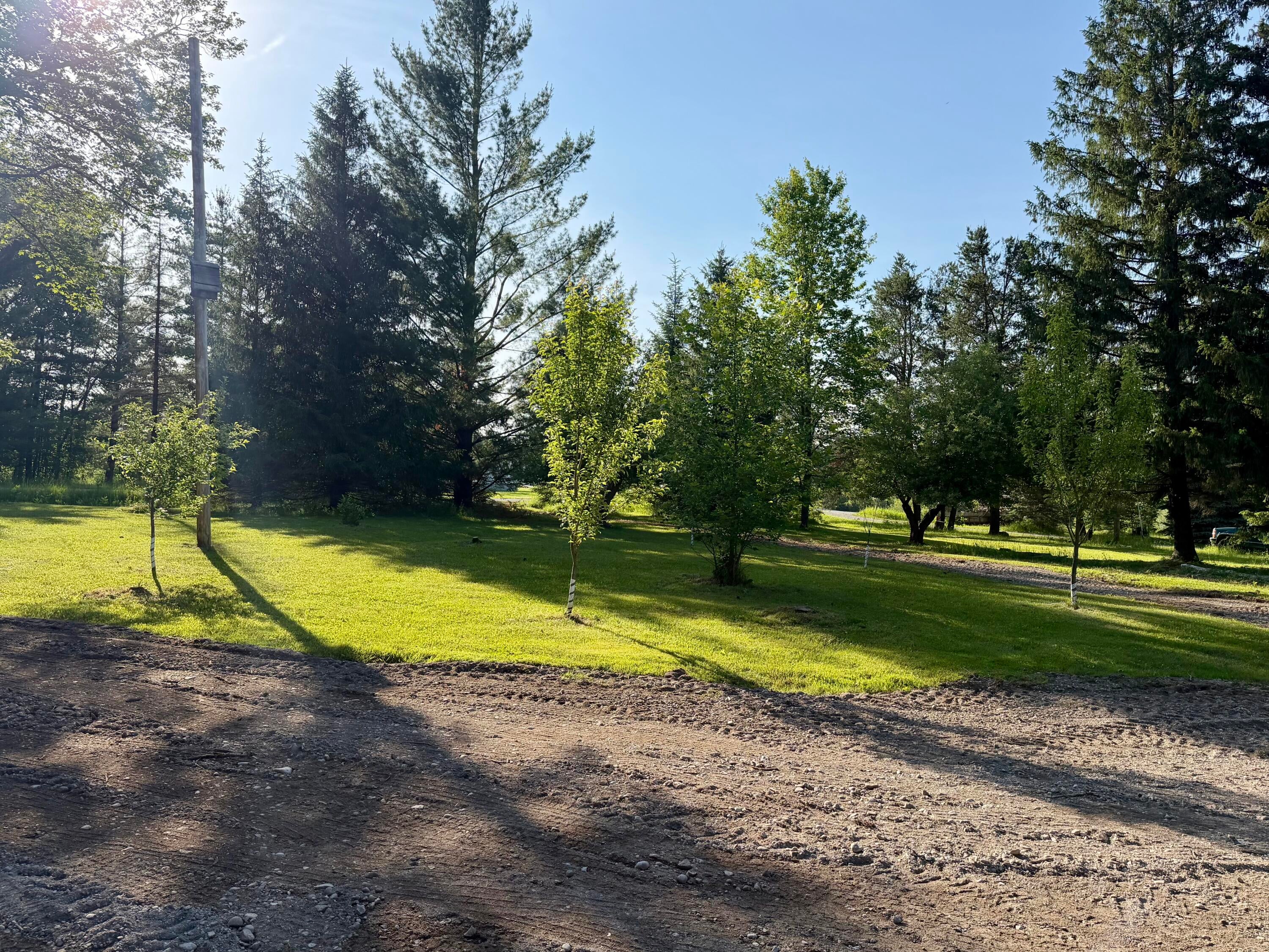 2381 Buhl Road Mikado, MI 48745 - Photo 16 of 18 Gallery Image 16
