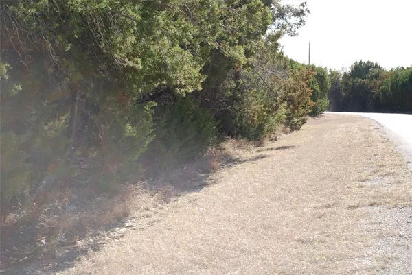 $9,000 | 8182 Cedarcrest Drive, Whitney, TX 76692