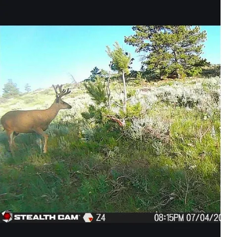 $245,000 | 1 Winchester Gap, Buford, WY 82052