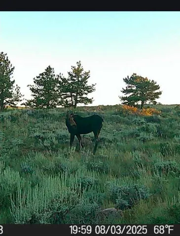 $245,000 | 1 Winchester Gap, Buford, WY 82052