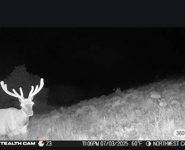 $245,000 | 1 Winchester Gap, Buford, WY 82052