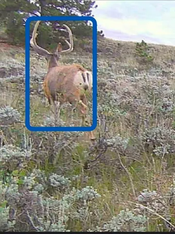 $245,000 | 1 Winchester Gap, Buford, WY 82052