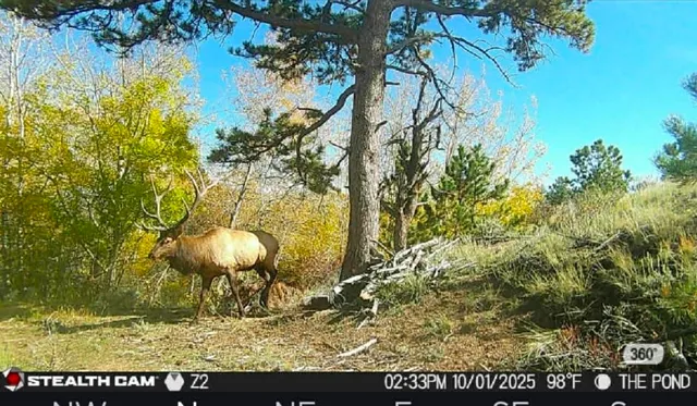 $245,000 | 1 Winchester Gap, Buford, WY 82052