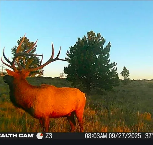 $245,000 | 1 Winchester Gap, Buford, WY 82052