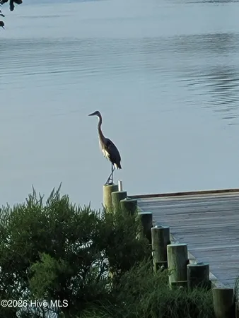 $585,000 | 91 Topping Lane, Belhaven, NC 27810