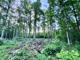 6711 Fernway Road Gibsonville, NC 27249 - Photo 2 of 2 a view of outdoor space and green space