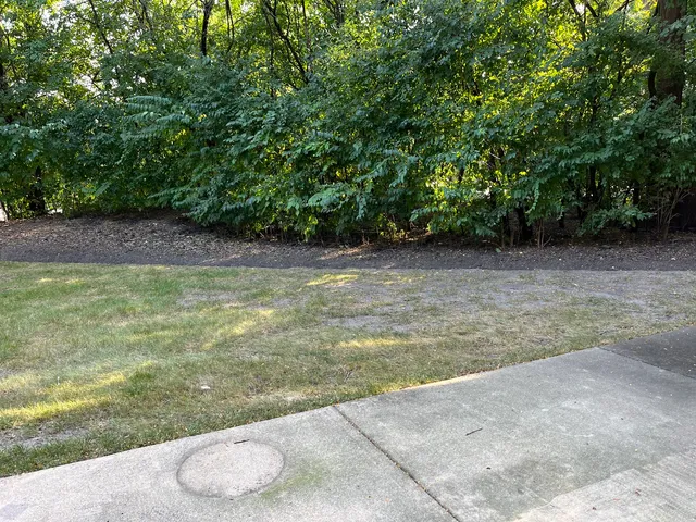 a view of yard with green space