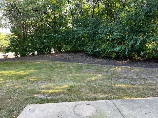a view of swimming pool with outdoor seating and plants