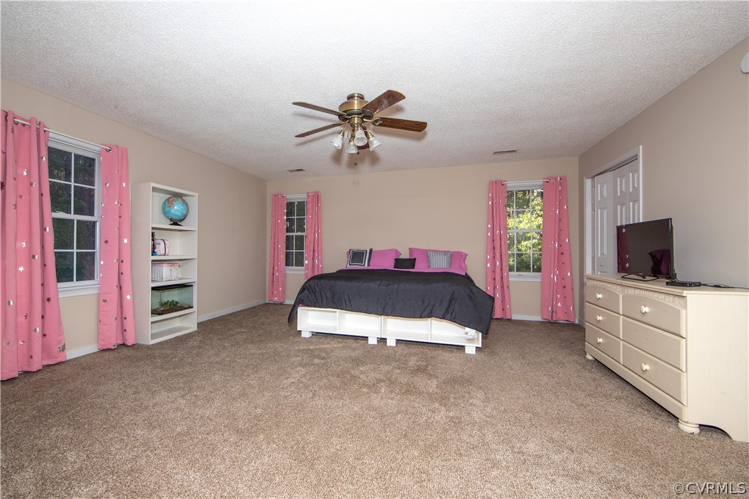14960 Lebanon Road Spring Grove, VA 23881 - Photo 15 of 24 Gallery Image 15