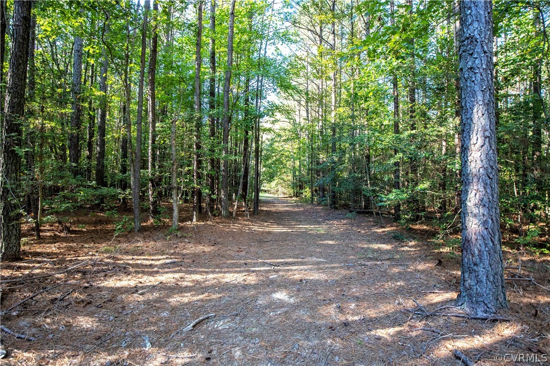 14960 Lebanon Road Spring Grove, VA 23881 - Photo 24 of 24 Gallery Image 24