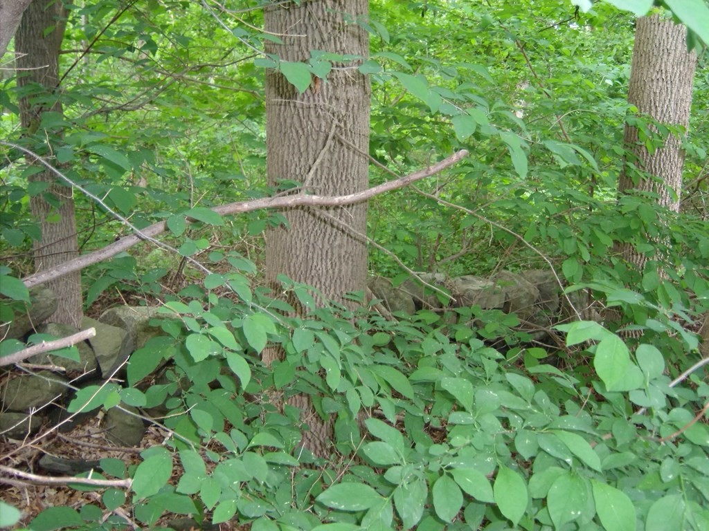 0 Hall Street Raynham, MA 02767 - Photo 4 of 6