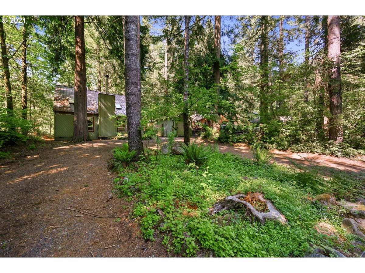 70495 East Terrace Drive Rhododendron, OR 97049 - Photo 2 of 32
