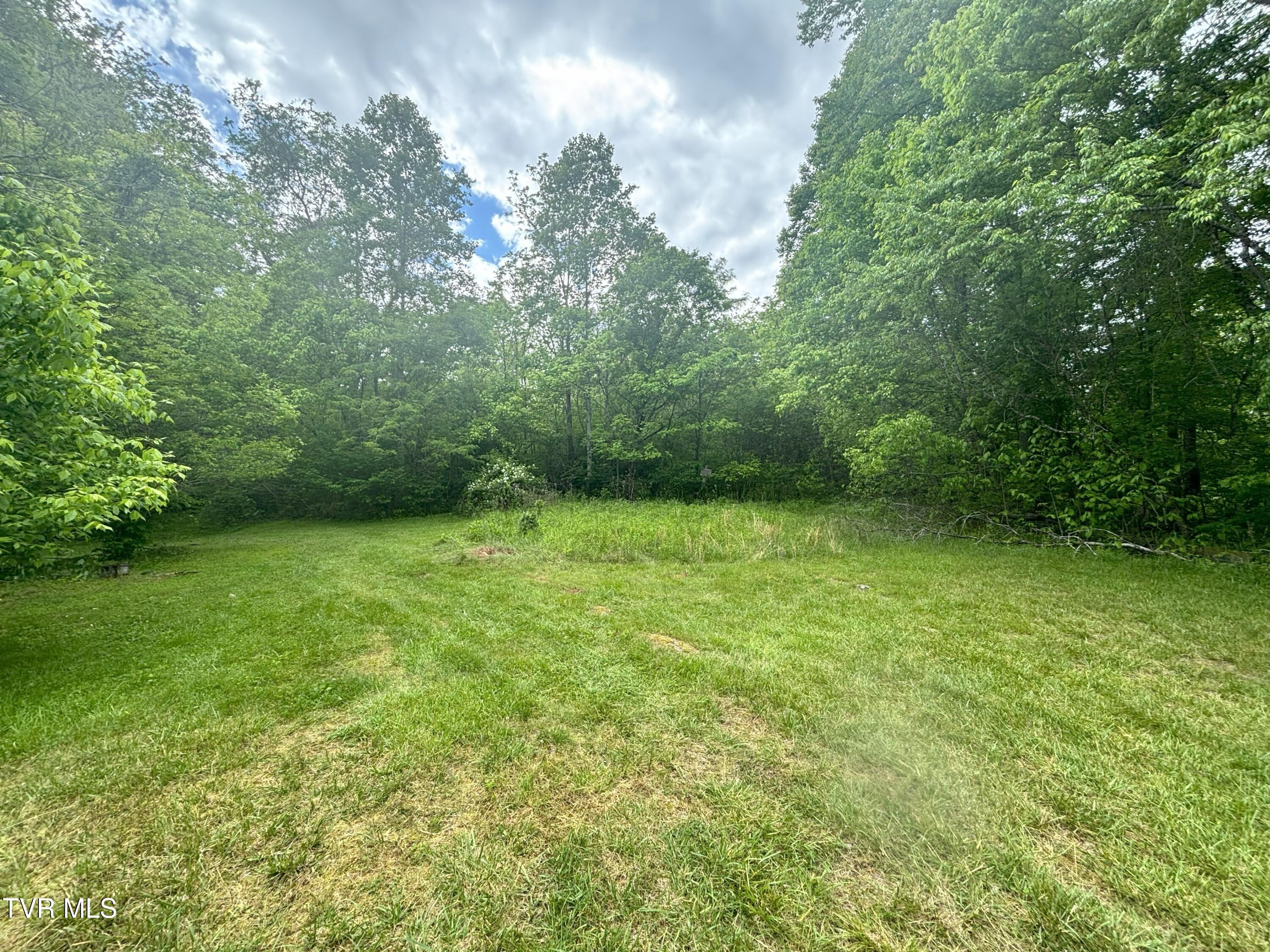 3719 Red Hill Road Gate City, VA 24251 - Photo 35 of 47 IMG_3371