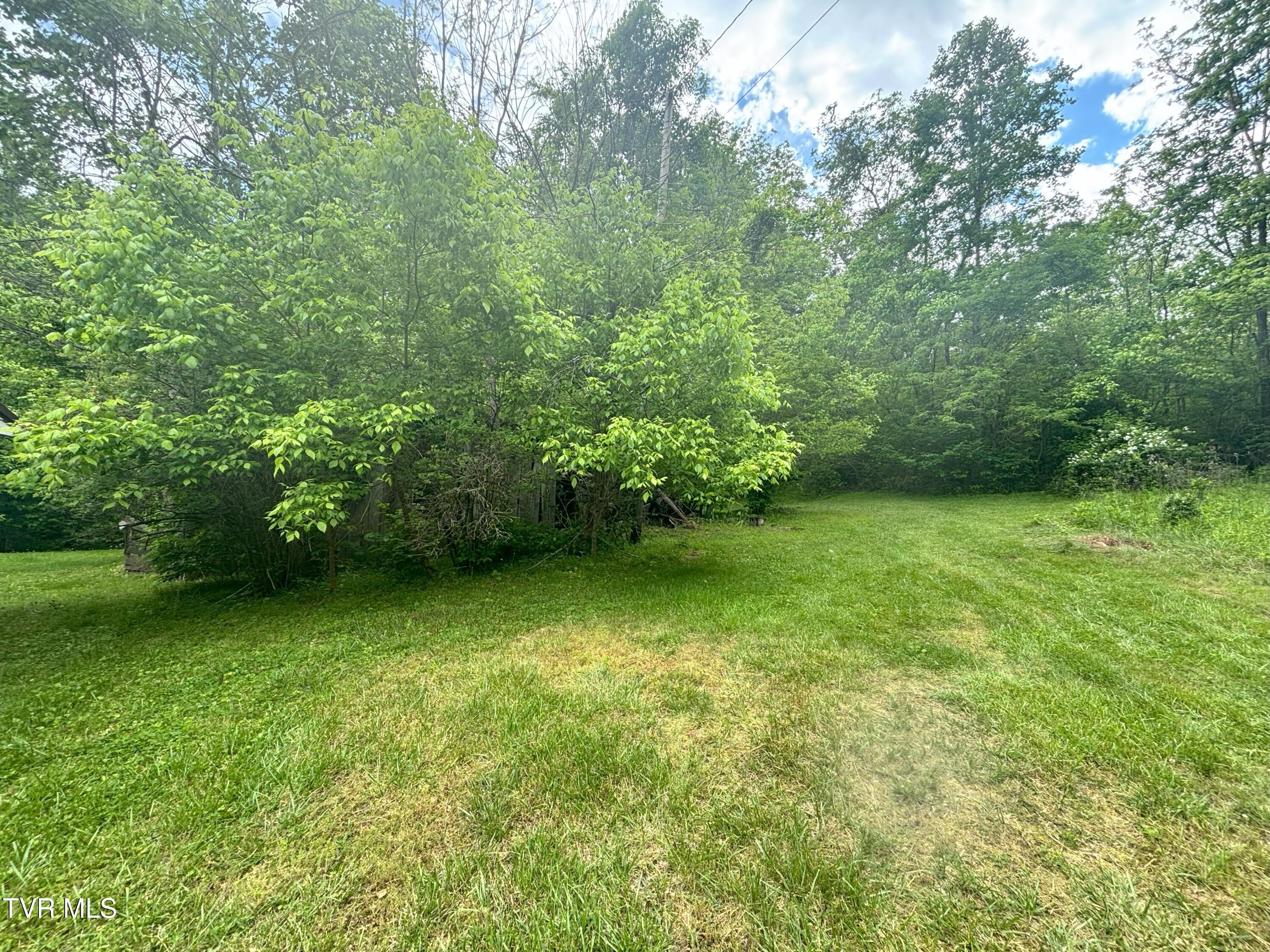 3719 Red Hill Road Gate City, VA 24251 - Photo 36 of 47 IMG_3372