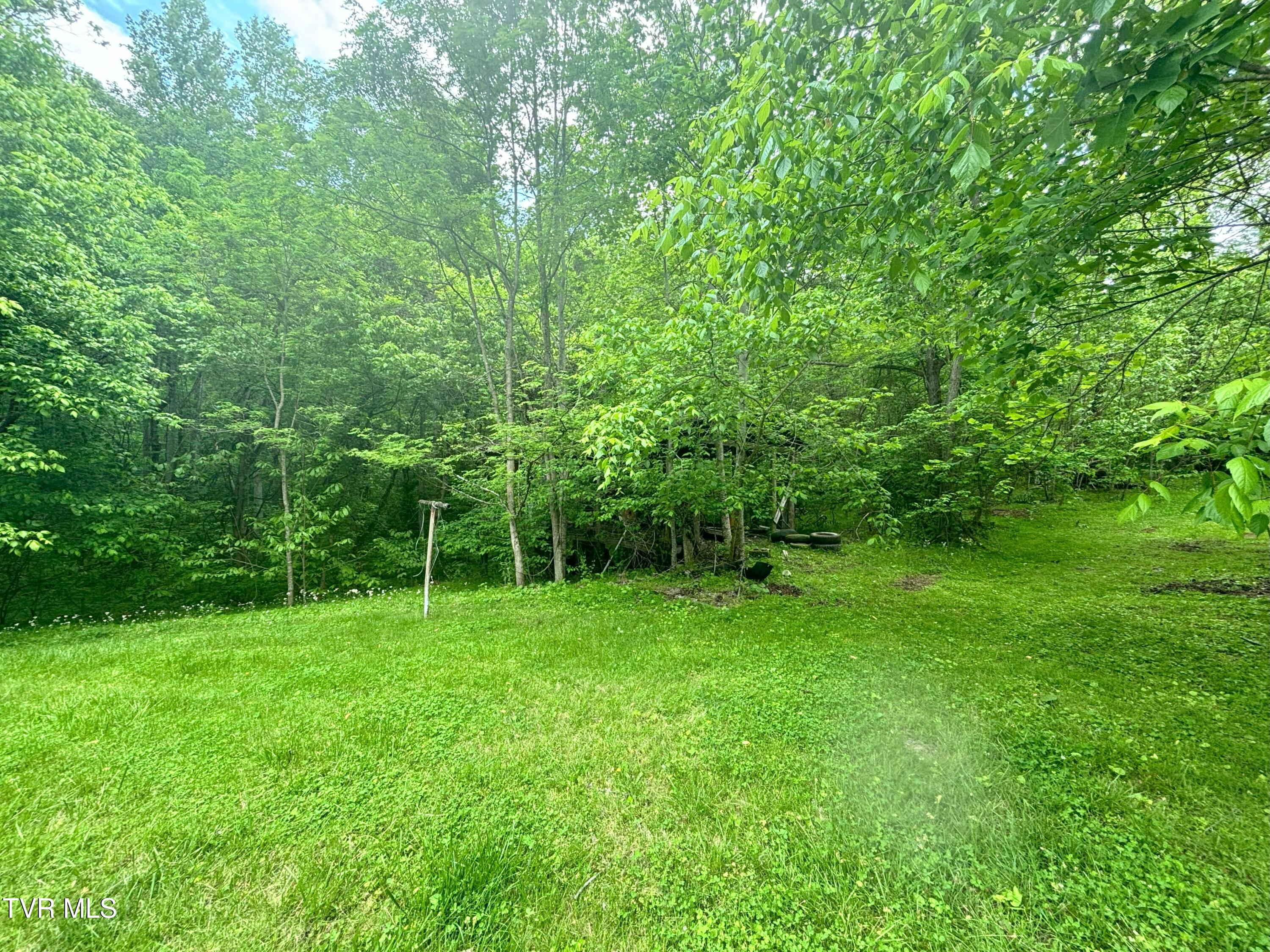 3719 Red Hill Road Gate City, VA 24251 - Photo 38 of 47 IMG_3379