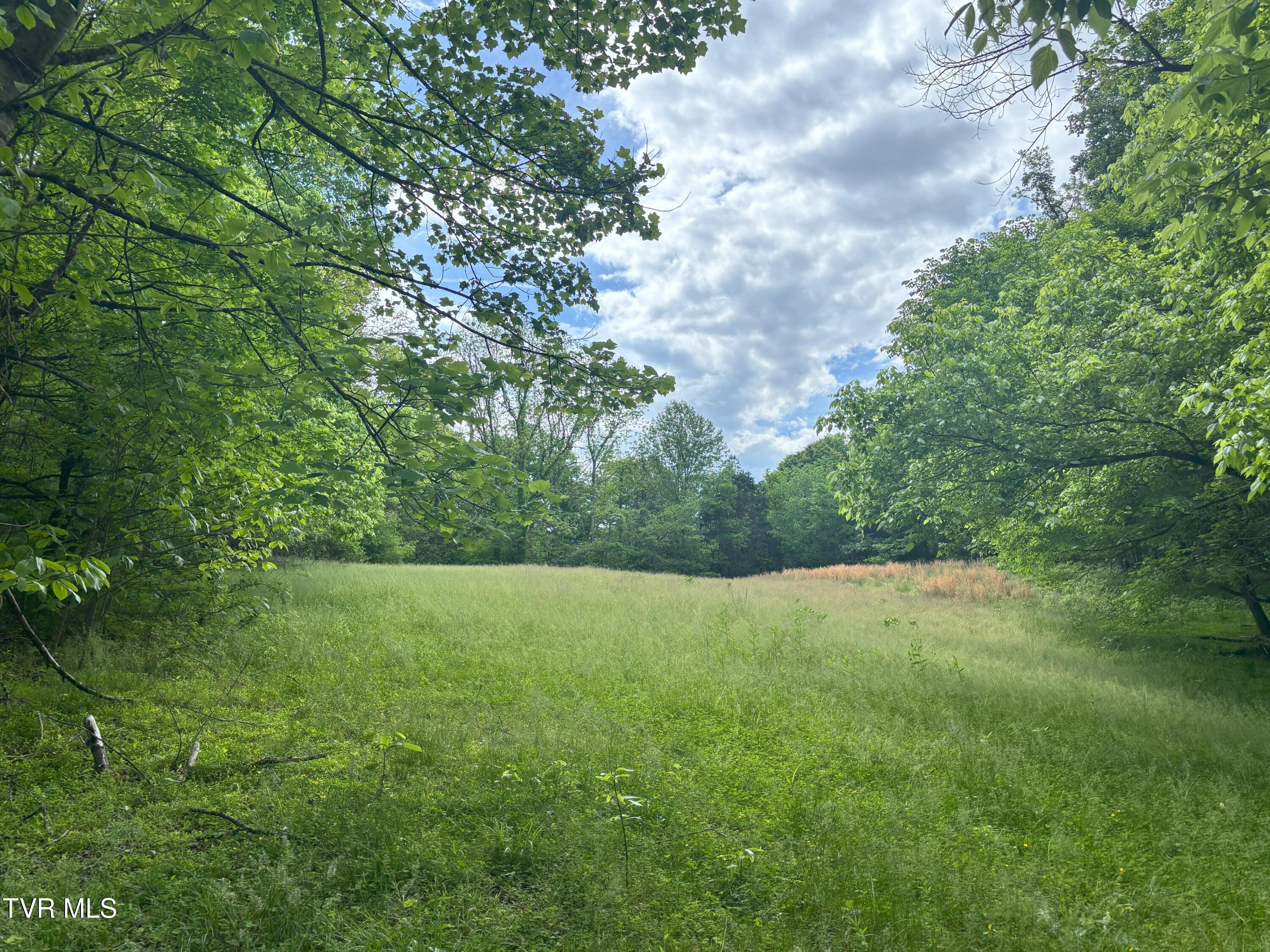 3719 Red Hill Road Gate City, VA 24251 - Photo 44 of 47 IMG_3393