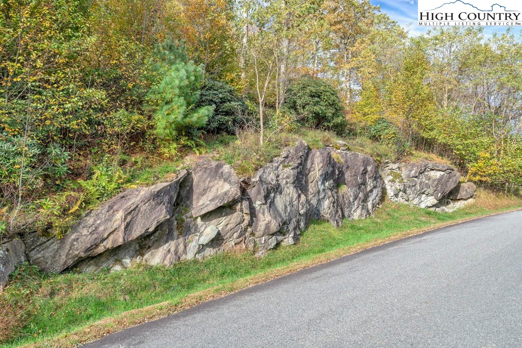 Tbd Lot 27 Tbd Trail Boone, NC 28607 - Photo 2 of 11