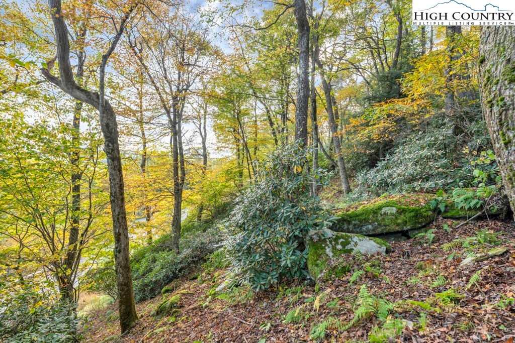 Tbd Lot 27 Tbd Trail Boone, NC 28607 - Photo 6 of 11