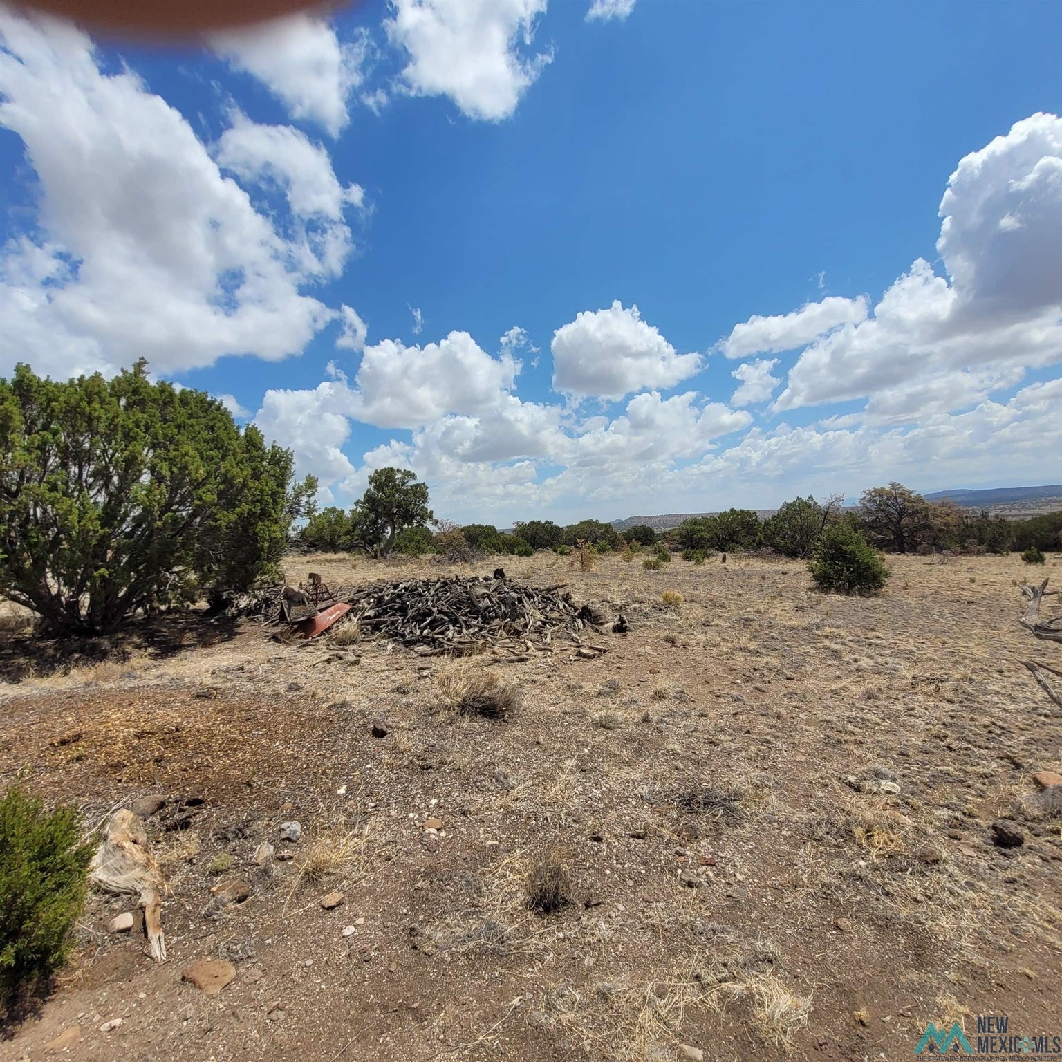 40 East Rock Springs Loop Datil, NM 87821 - Photo 55 of 90 Gallery Image 55