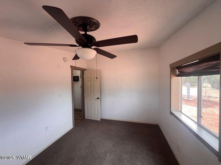 4951 Hay Hollow Road Snowflake, AZ 85937 - Photo 8 of 22 4951 Hay Hollow #9