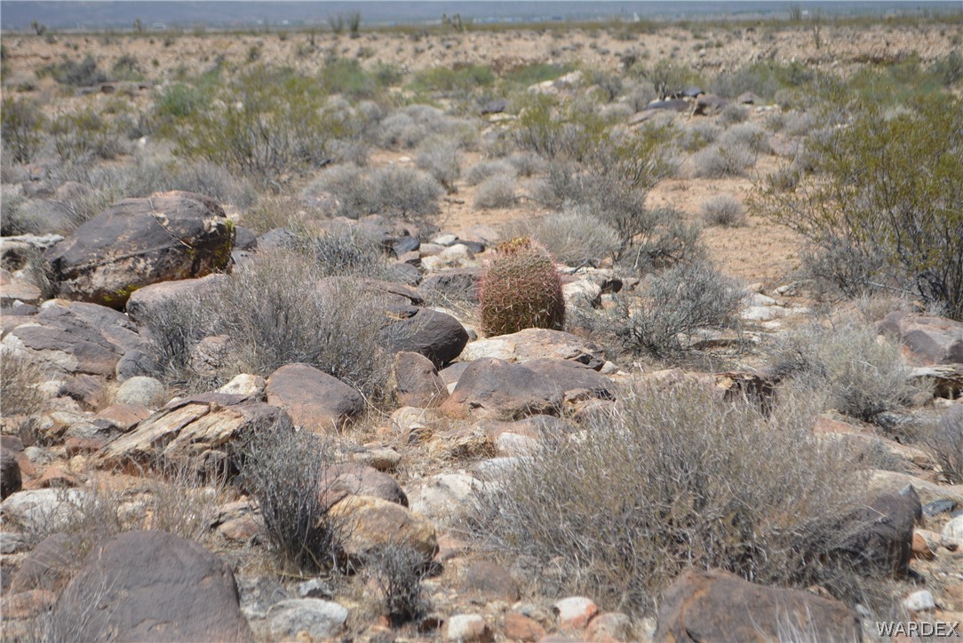 208-24-134 Cameron Road Yucca, AZ 86438 - Photo 33 of 86