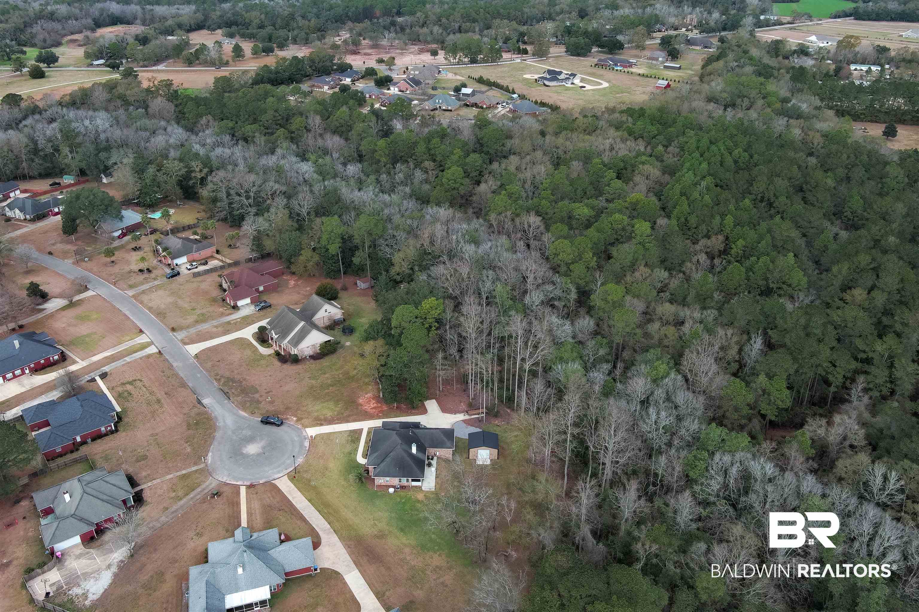 0 North Branson Drive Mobile, AL 36695 - Photo 8 of 20 Aerial view