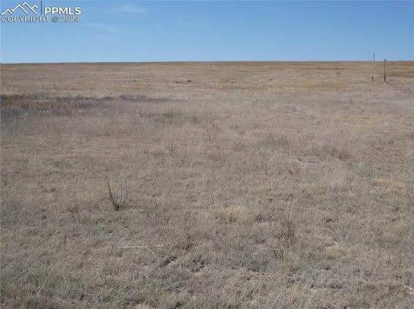 a view of a dry field