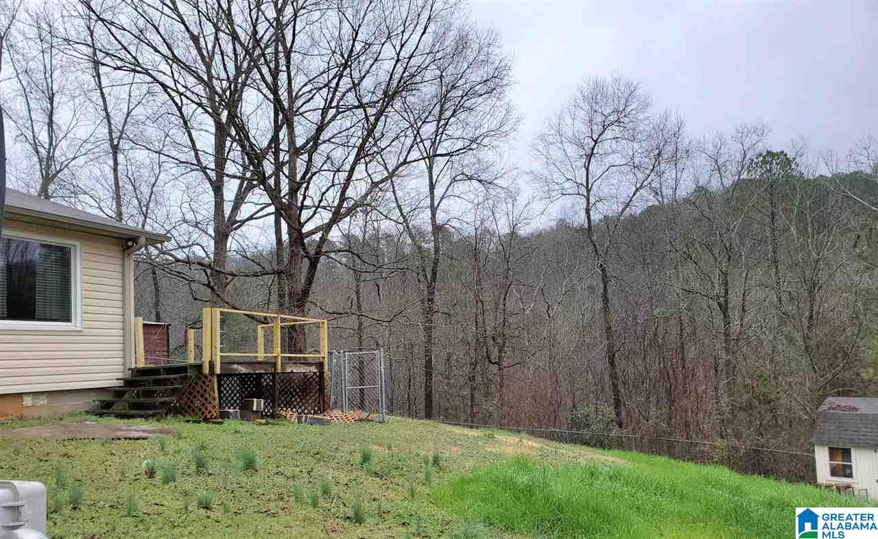 1300 Mill Creek Road Warrior, AL 35180 - Photo 30 of 39