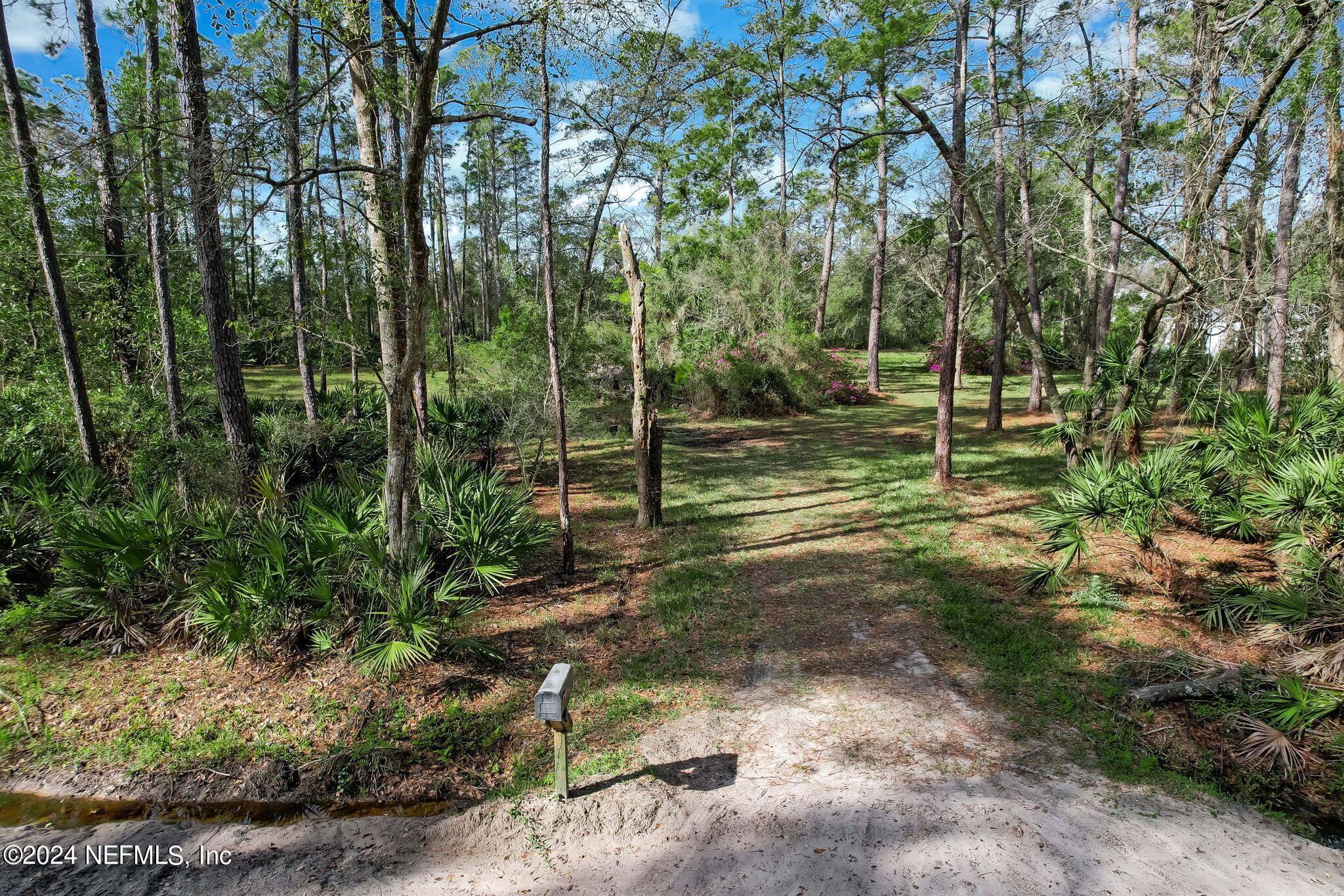 87273 Raddin Road Yulee, FL 32097 - Photo 14 of 14 a view of a yard with large trees
