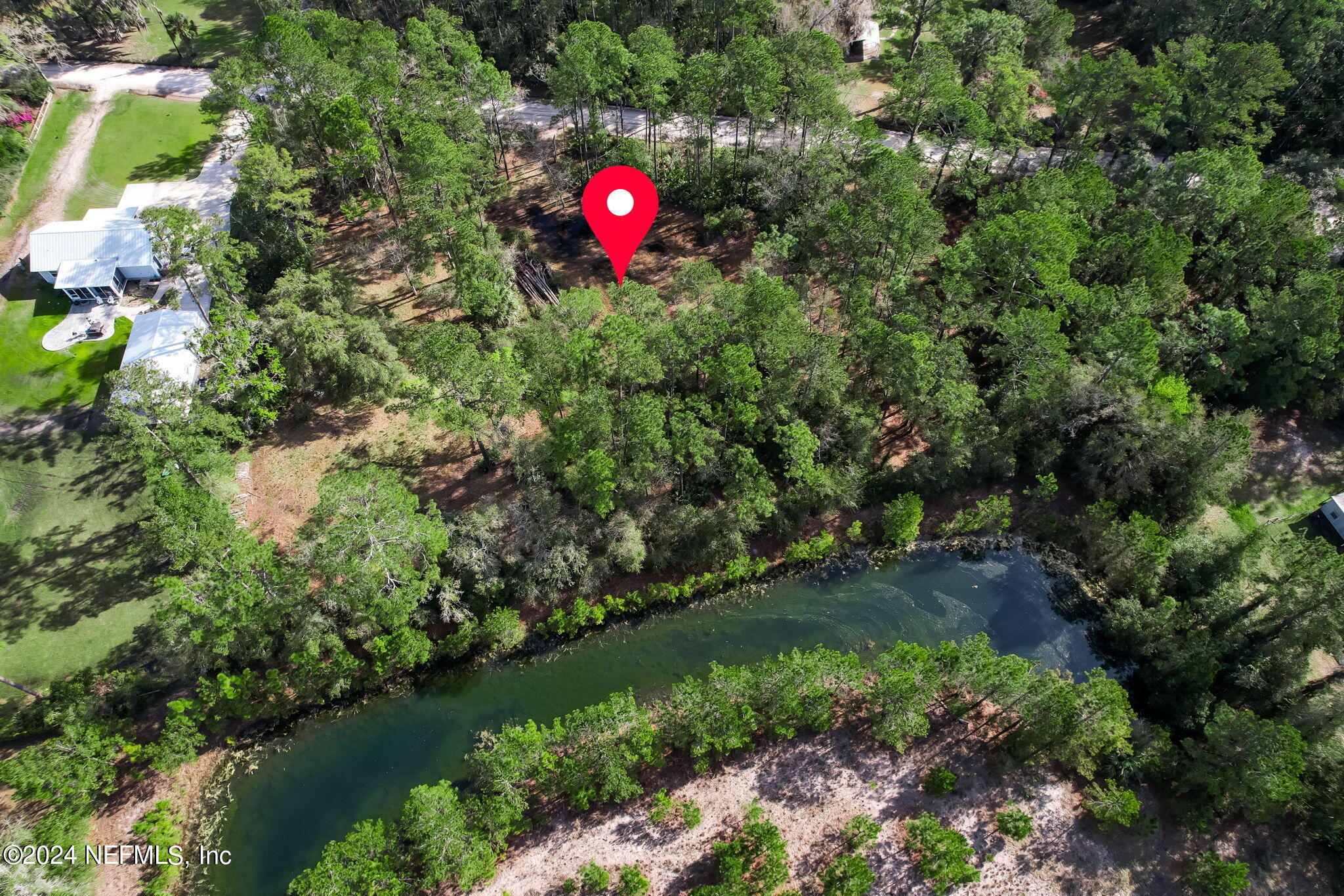 87273 Raddin Road Yulee, FL 32097 - Photo 6 of 14 a view of a plants in a backyard of a house